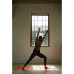 Blackroll MAT GYMBAG GT - Yogamatte -Camping Freien 5637896171 h mat gt plus gymbag blackroll 24