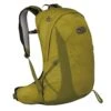 Osprey TALON EARTH 22 Unisex - Tagesrucksack